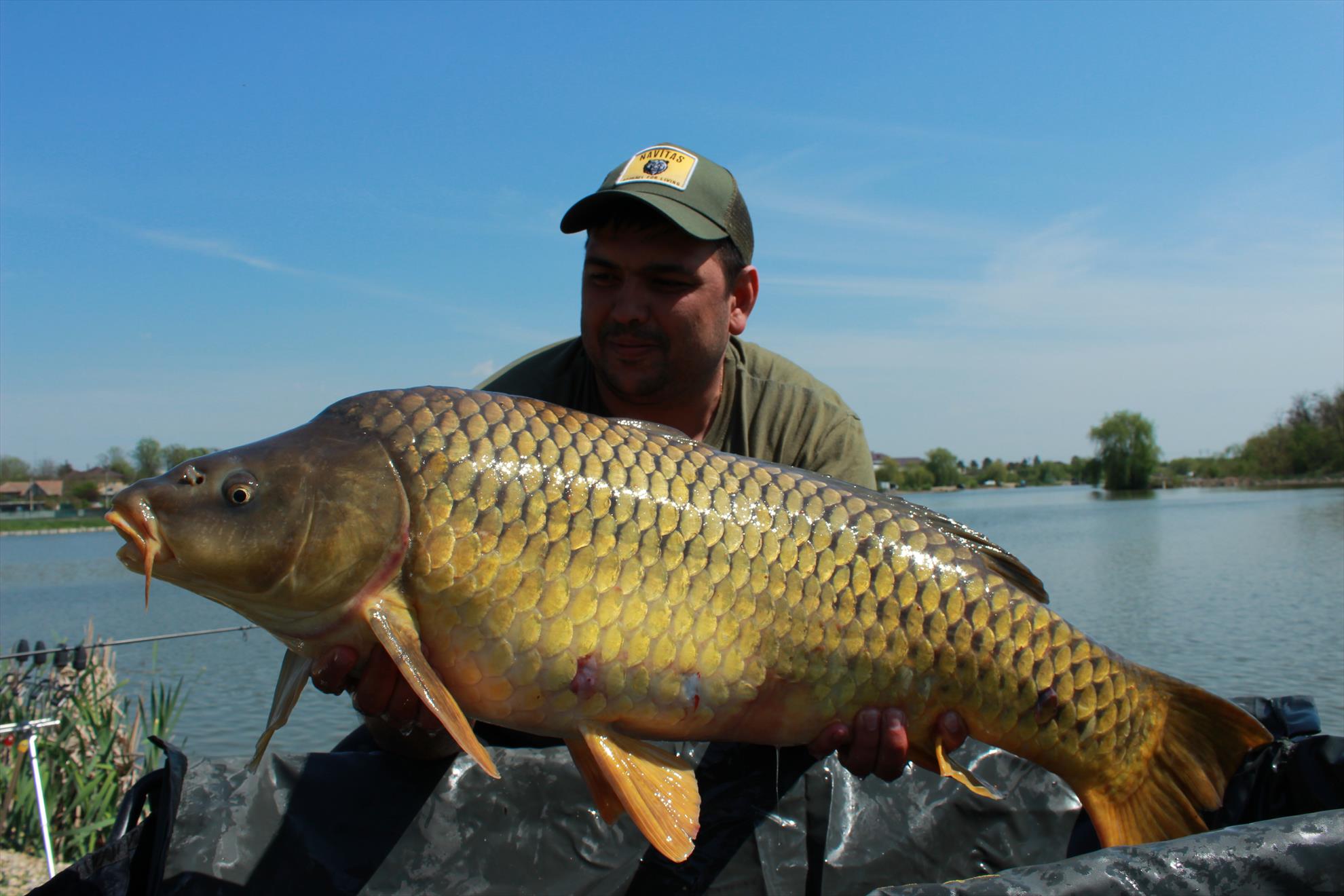 Hermes Peris 25 - 26 aprilie 2015 - img8519.JPG